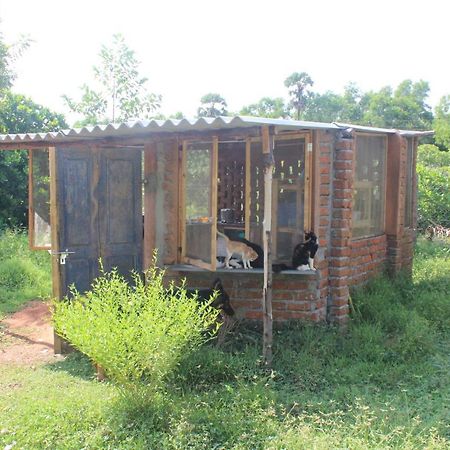 Appartamento Beyond Community Auroville Esterno foto