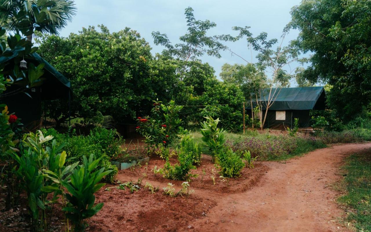 Appartamento Beyond Community Auroville Esterno foto