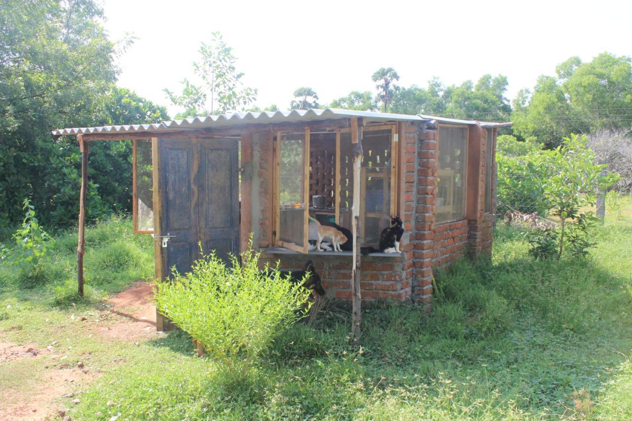 Appartamento Beyond Community Auroville Esterno foto